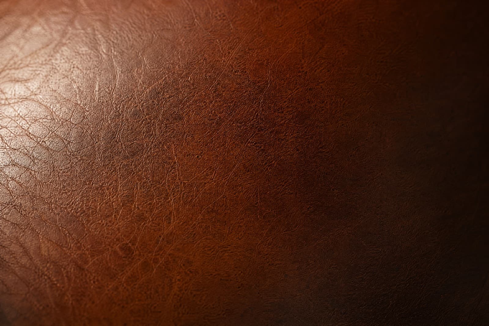 Macro photograph of full-grain calf leather showing the natural pore structure