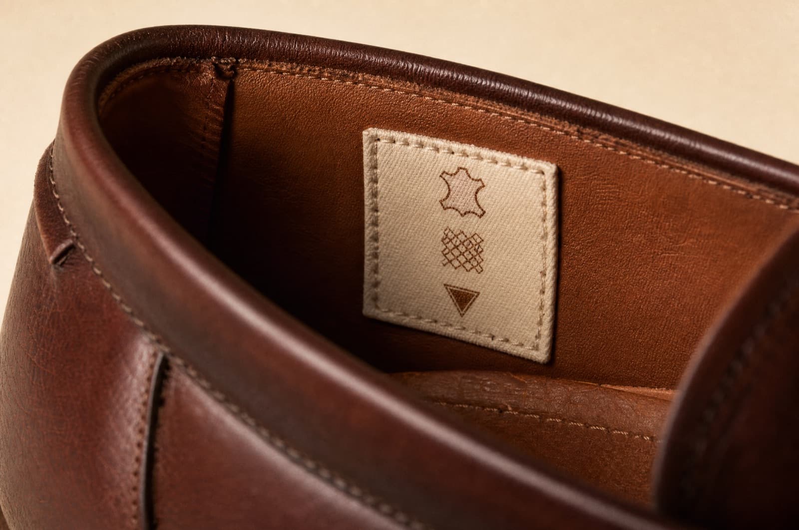 The material label sewn inside the shoe, carrying the three legal pictograms